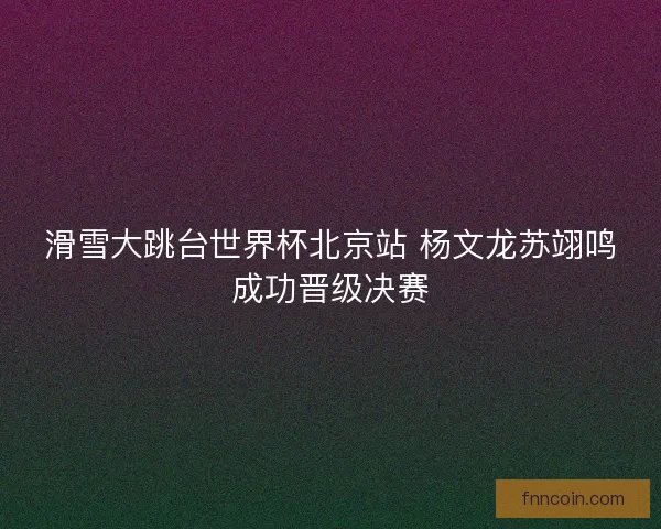 滑雪大跳台世界杯北京站 杨文龙苏翊鸣成功晋级决赛